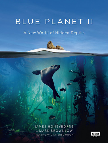 Голубая планета 2 1 сезон [Смотреть Онлайн]